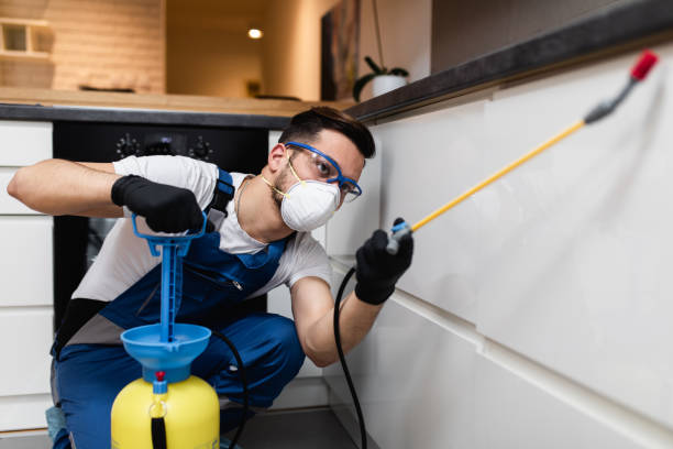 Best Mosquito Control Services  in Steger, IL