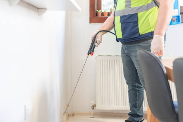Best Termite Control Services  in Steger, IL