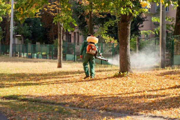Best Cockroach Control Services  in Steger, IL