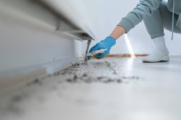 Best Best Pest Control Companies  in Steger, IL