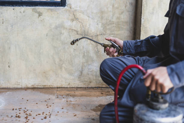 Pest Control for Restaurants in Steger, IL